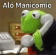 Falco FC tweet media