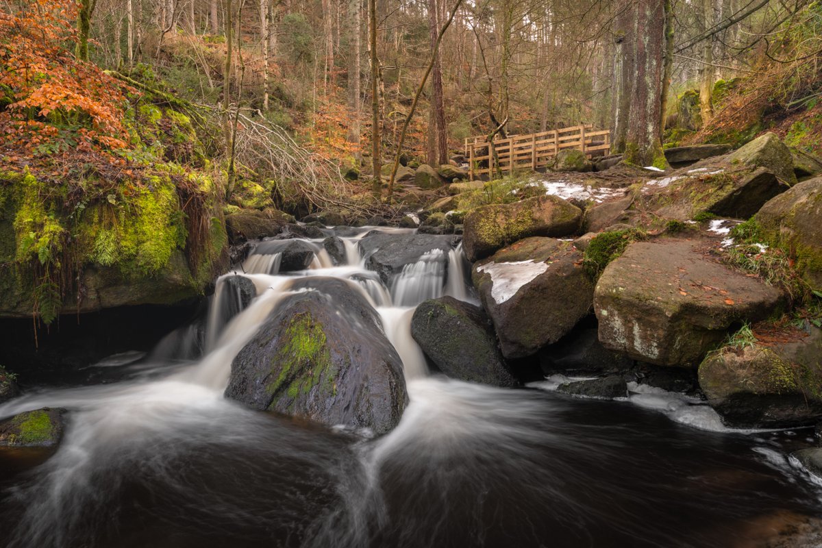 Ross Farnham tweet media