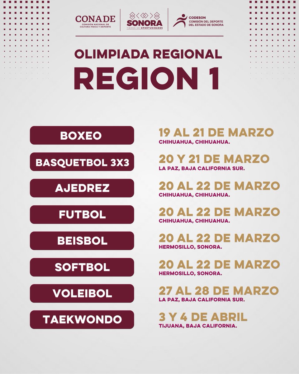 CODESON Oficial tweet media