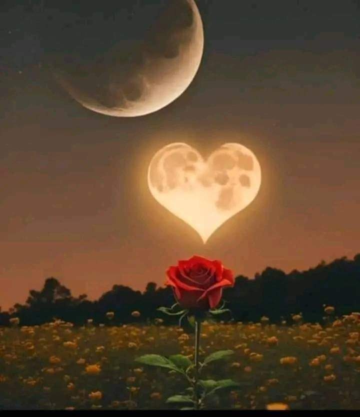 🇸🇦الهنوف🇸🇦 tweet media