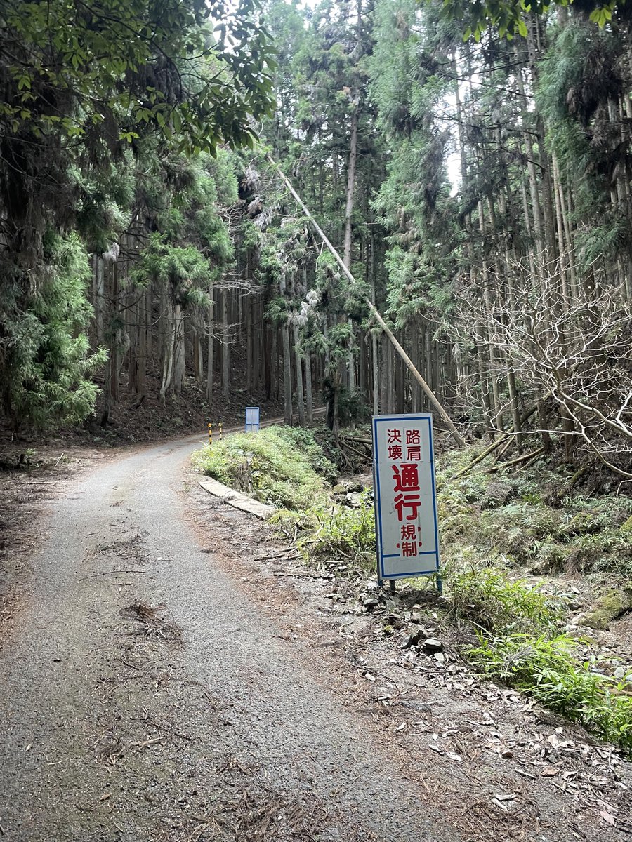 cyclezoo's tweet image. 筋肉痛バッキバキぃ…
昨日本当は芋ヶ峠越えて
吉野に行く予定だったんだけど
これを見て諦め。

これって行けるの？
でも危うきに近寄らずだと思って
引き返しました。

ヒルクライム良い感じだったんだけどな…