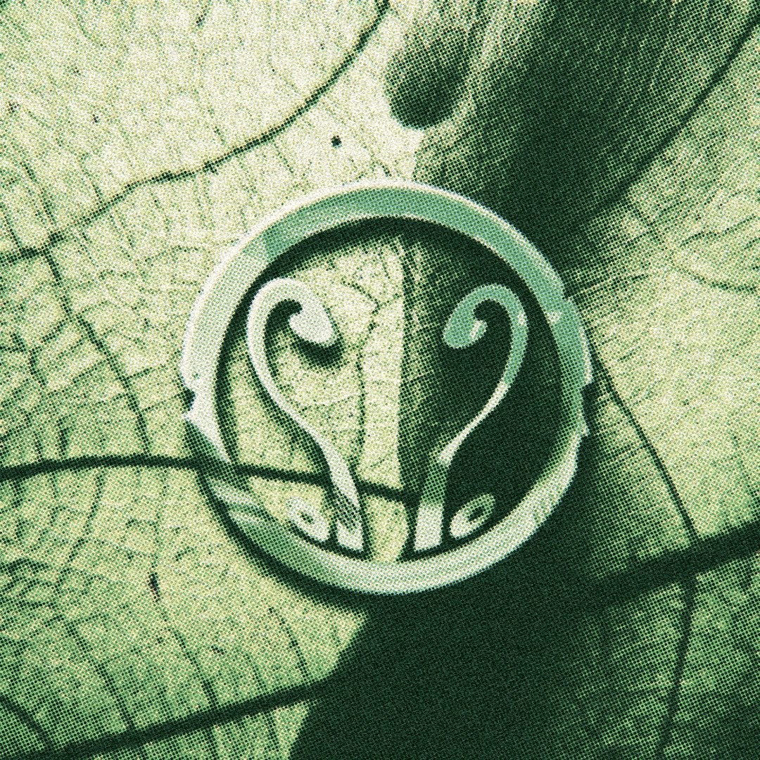 EMPATHIC_BUG's tweet image. ◌◦.⸙ᕀ⠀

⠀⠀