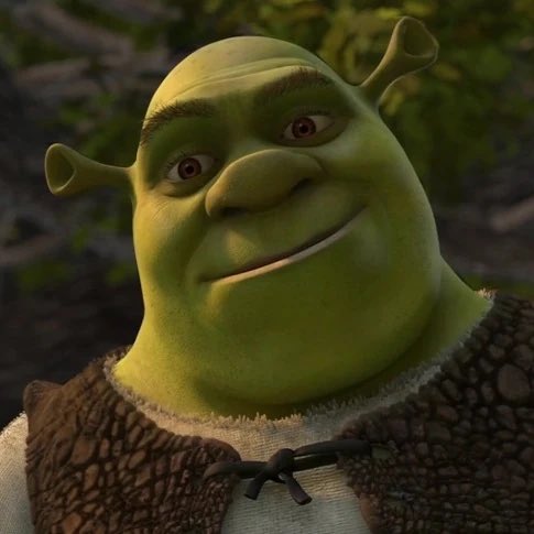 washbears_wares's tweet photo. ogres are like onions 🧅💚 https://t.co/hzznUpTuFS