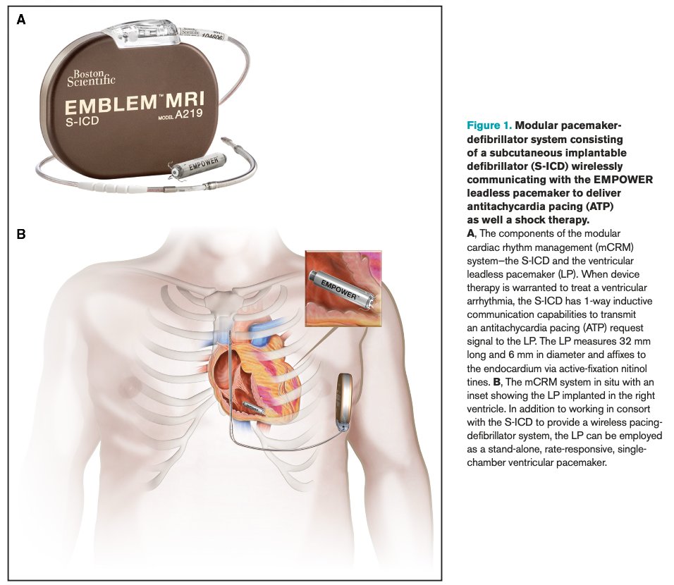 Tetsuma Kawaji, MD, PhD. FJCC/川治徹真 tweet media