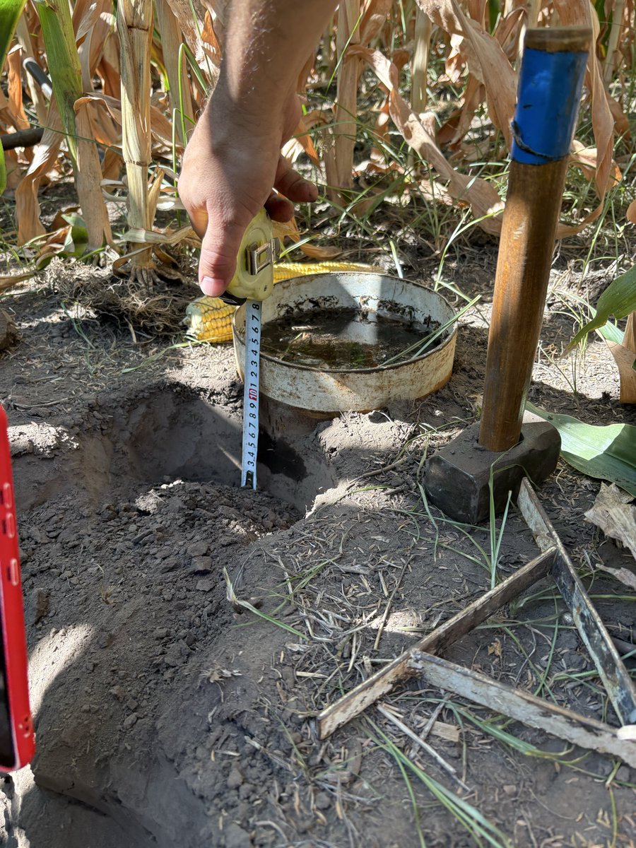 fernando giachetti tweet media