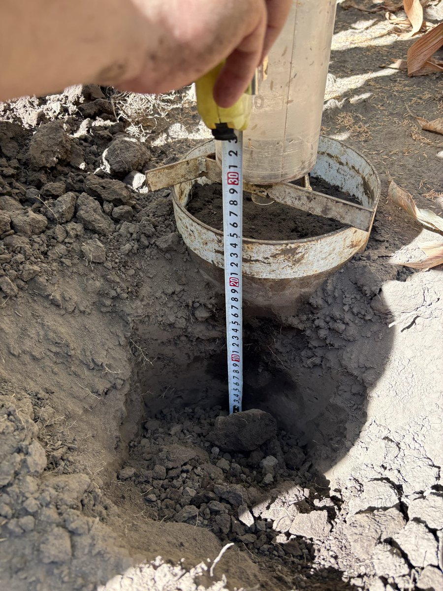 fernando giachetti tweet media