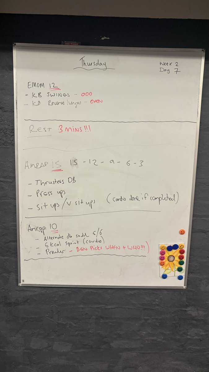 BodyPerformance 🇳🇱 tweet media