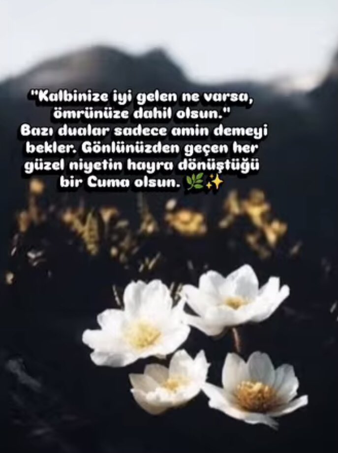 elitselcuk's tweet photo. https://t.co/sLijPlmOfj