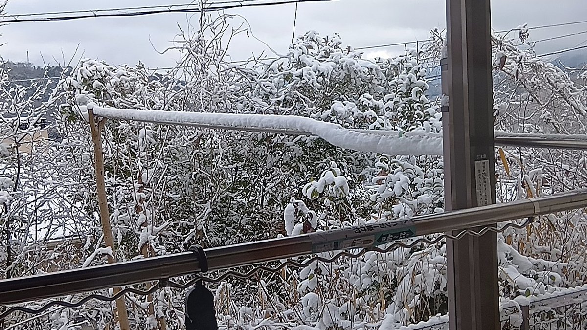 FMPiPi's tweet image. おはようございます😃
伴野あずさです✨
今日も
#モーニングスマイル金曜日
にお付き合い、よろしくお願いします🙇
今日のメッセージテーマは「身近な謎」
身近で、不思議に感じたこと、不可解な出来事、ありませんか？
皆様のメッセージ、お待ちしてます😊