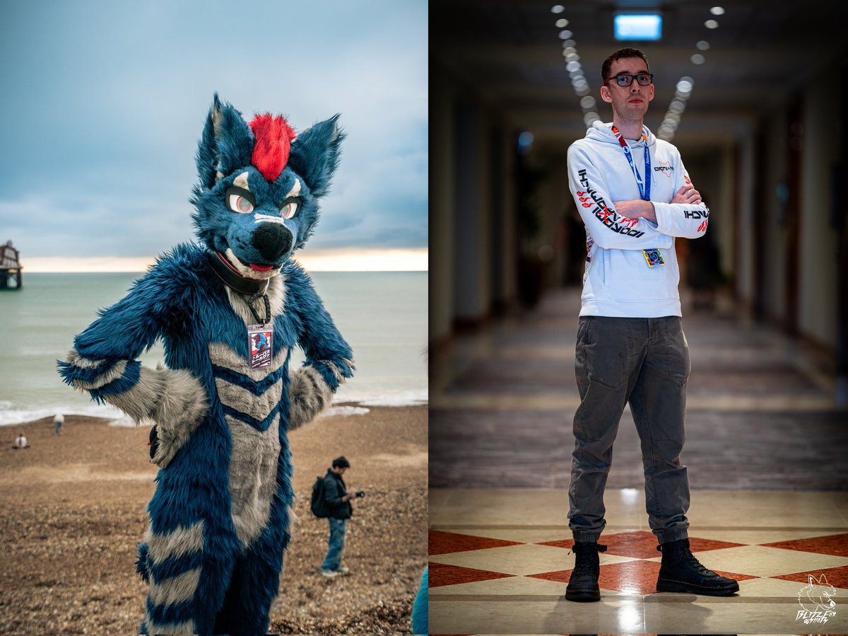 Wolf Grim / Lupus Torva tweet media