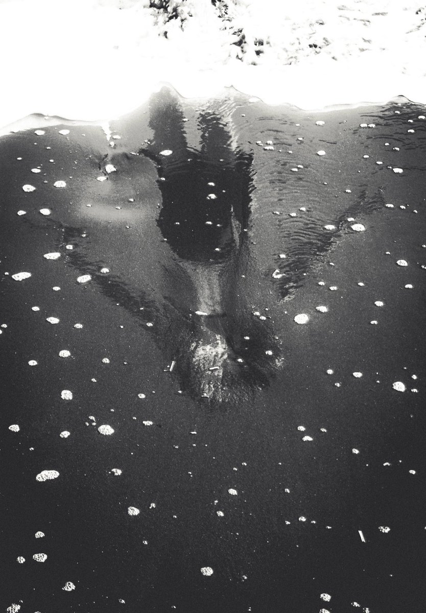 M_dzn_'s tweet image. 🎞️
📍Madeira