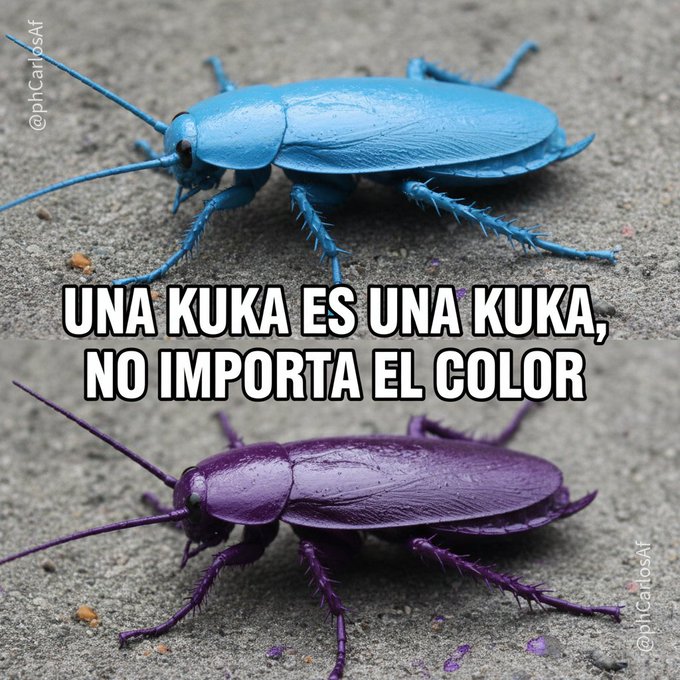 Juan34592049's tweet image. Ser critico del gobierno de mierda de @JMilei no significa que sea k. Soy recontra anti k , anti zurdaje, anti peronchaje de cualquier tipo y factor. Soy Repúblicano 100%. Si sos seguidor del mamarracho de @JMilei o un kuka te acradeceré no me sigas. Gracias.