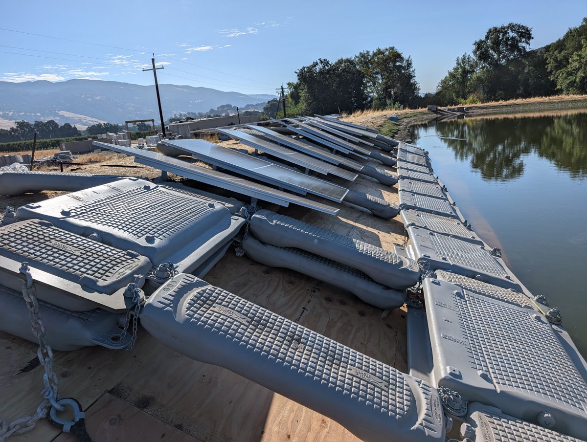 Lisa Cohn tweet media