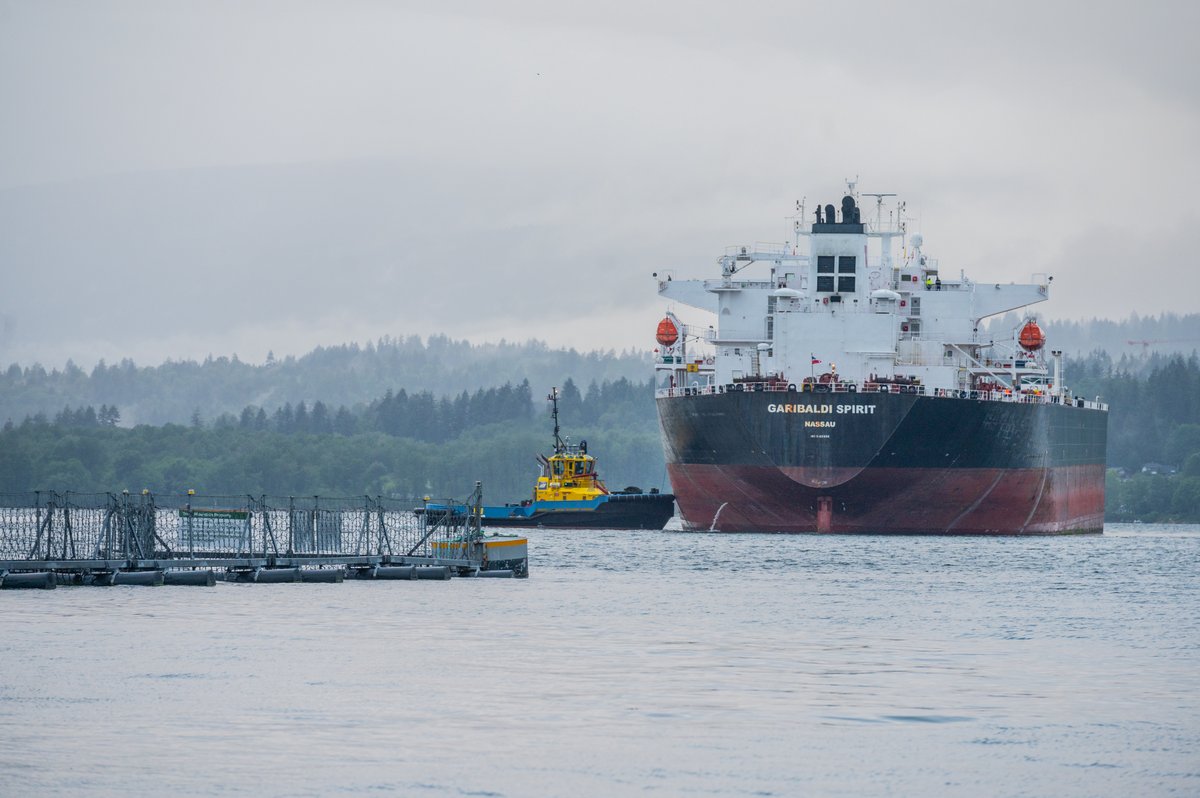 Trans Mountain tweet media