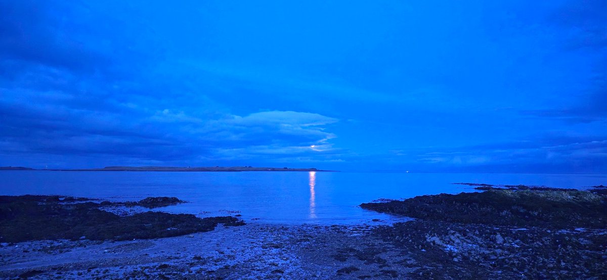 JOHN McMILLAN tweet media