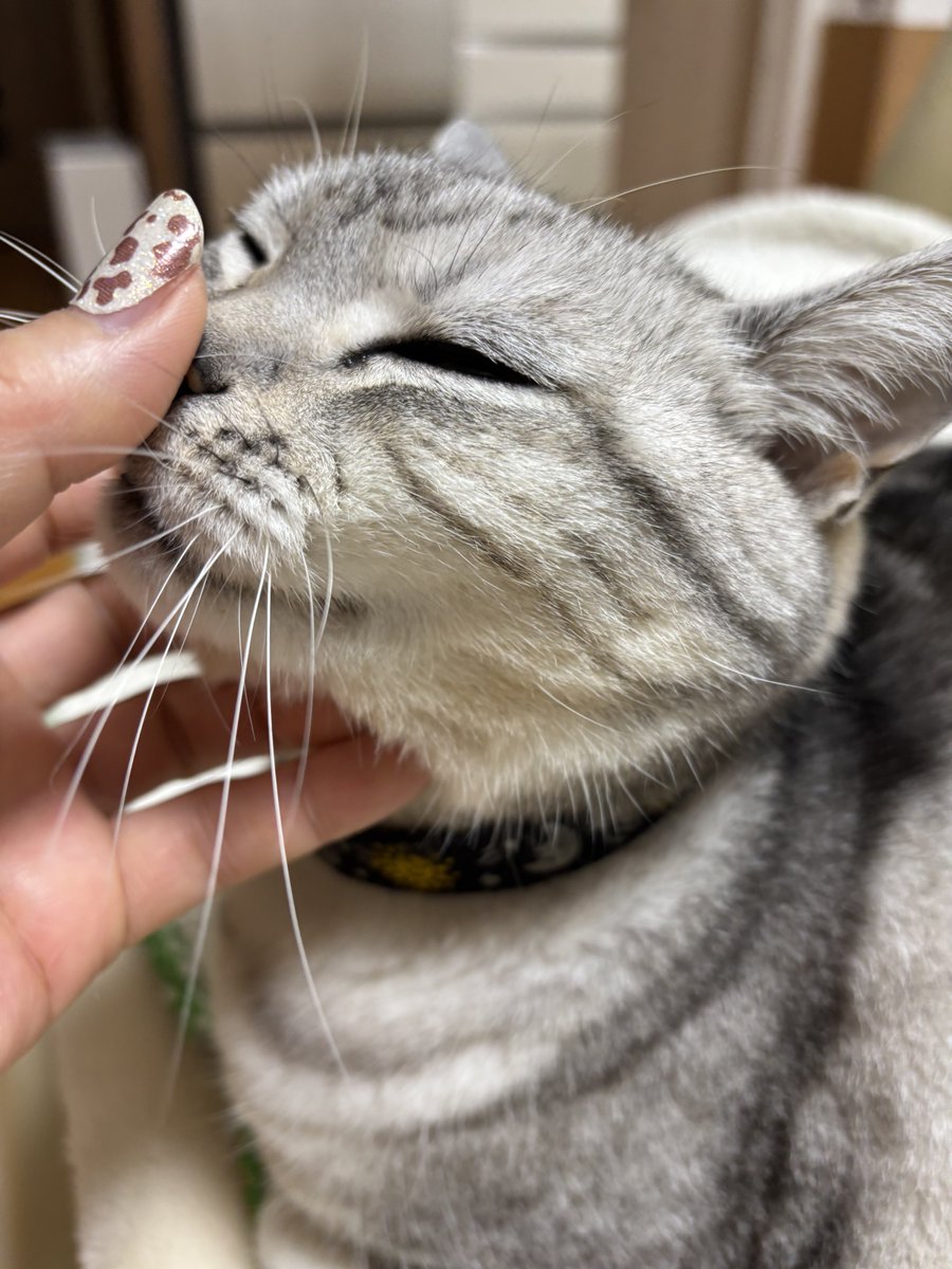 おはようございます\( 'ω')/