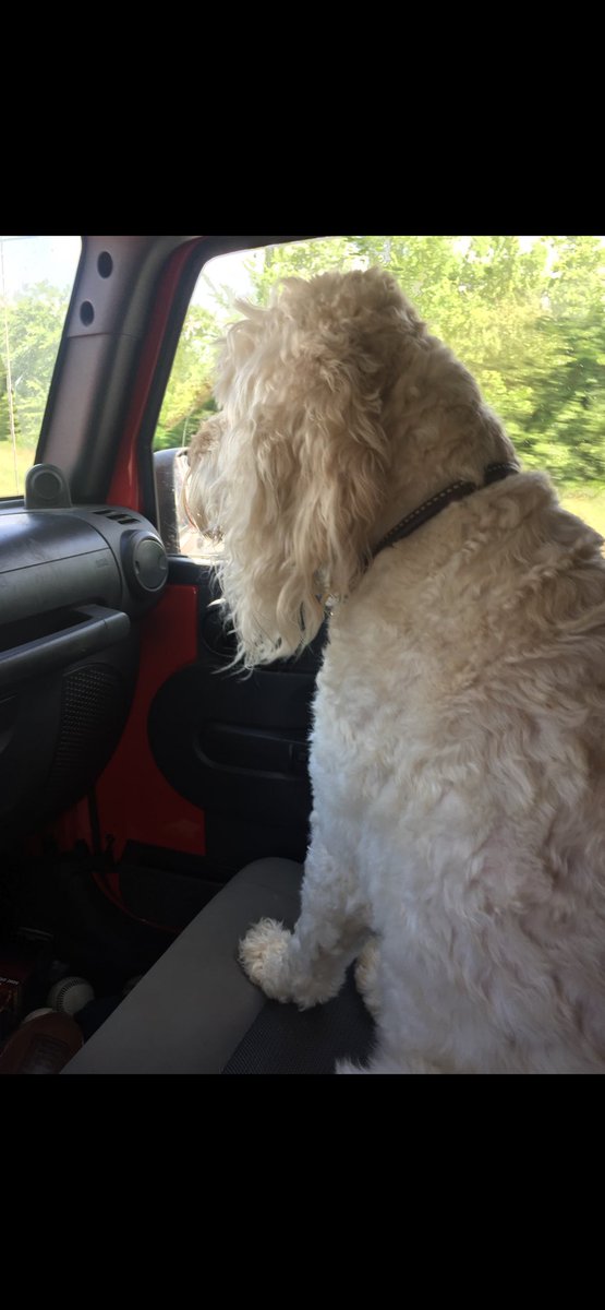 Brad Livingstone tweet media