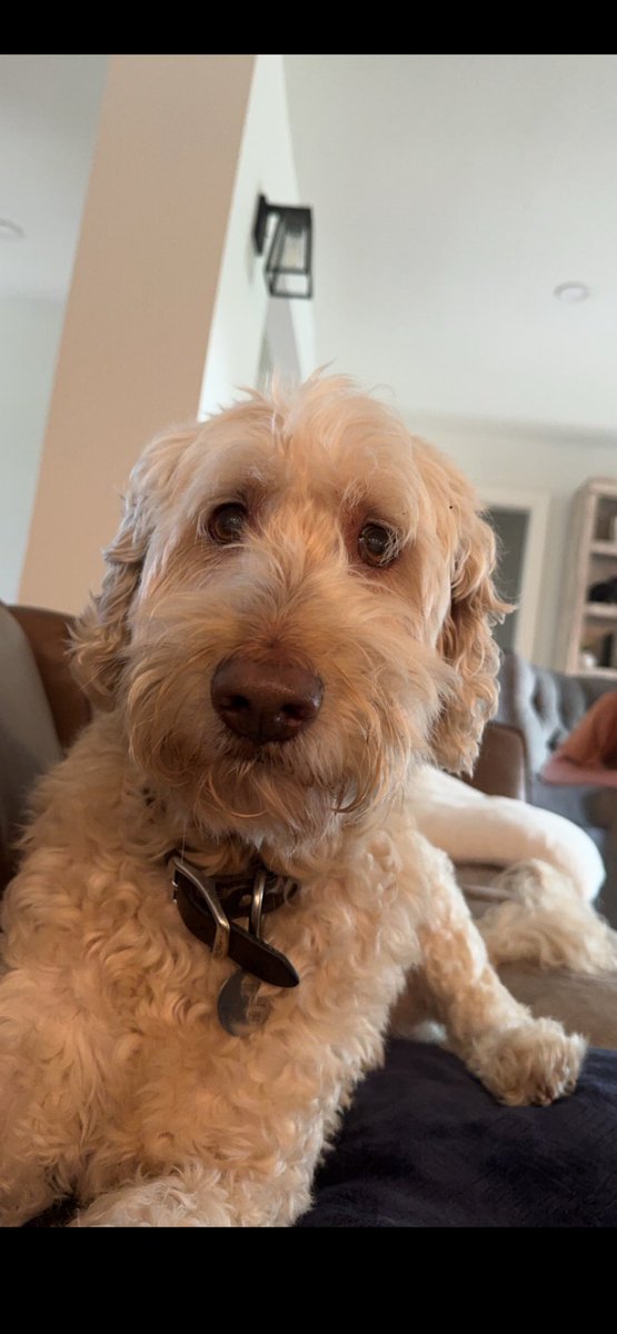 Brad Livingstone tweet media