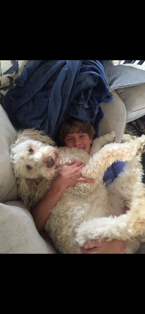 Brad Livingstone tweet media