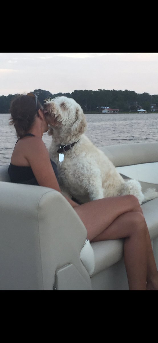 Brad Livingstone tweet media