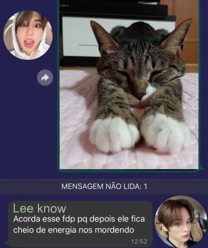 skzmensagens's tweet image. 