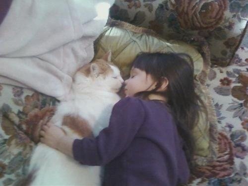 hîv. (@sorrrowfull) on Twitter photo 