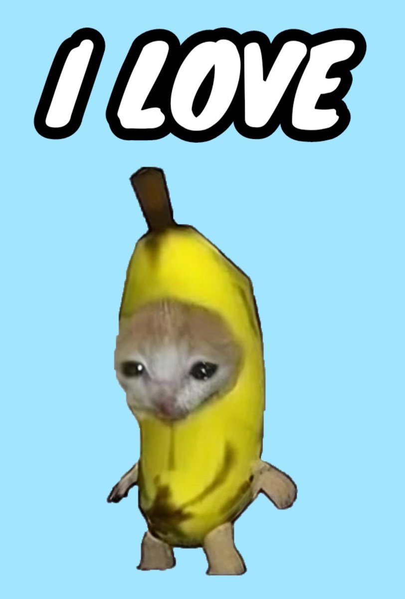 bananacateth's tweet photo. @MustStopMurad Massive #bananacat run @MustStopMurad @jakepaul 

Show me your banana 
@bananacat_erc20 https://t.co/34YLgXZznK