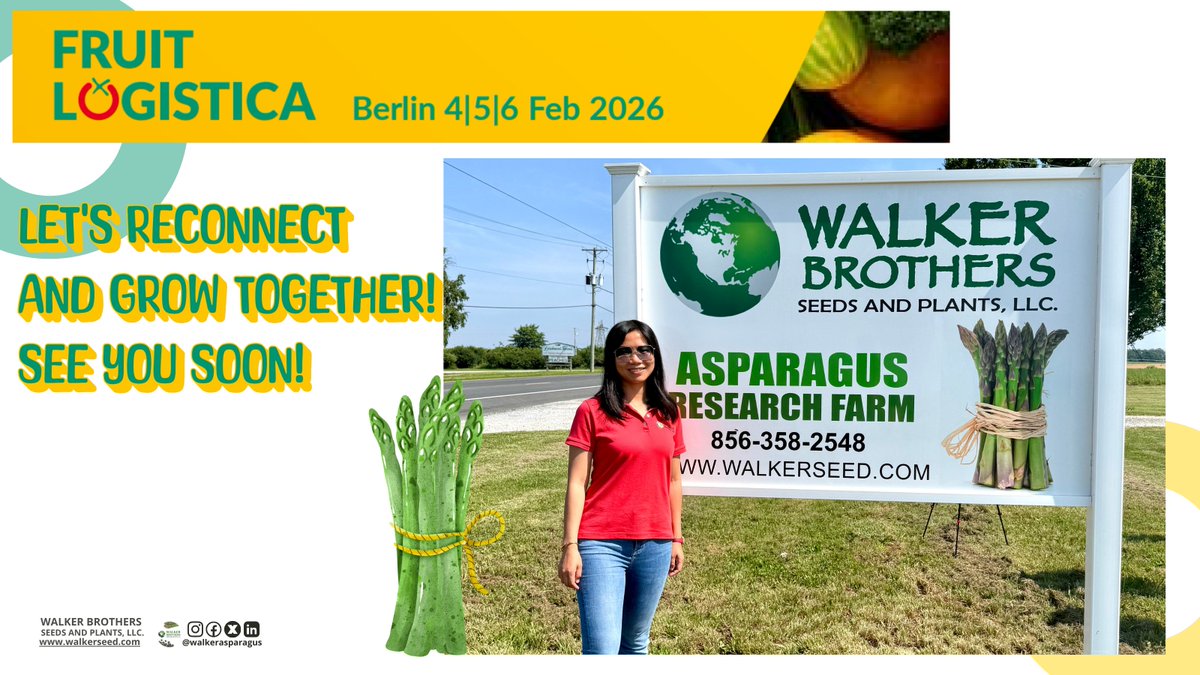 walkerasparagus's tweet photo. Wenjing, Assistant General Manager of Walker Brothers, will be attending Fruit Logistica🇩🇪 from February 5-6. To set up a meeting, please email wenjing@walkerseed.com.
She looks forward to reconnecting with old friends and meeting new ones very soon.🤗

#fruitlogistica #FL26 #USA https://t.co/MqjVke2D2L