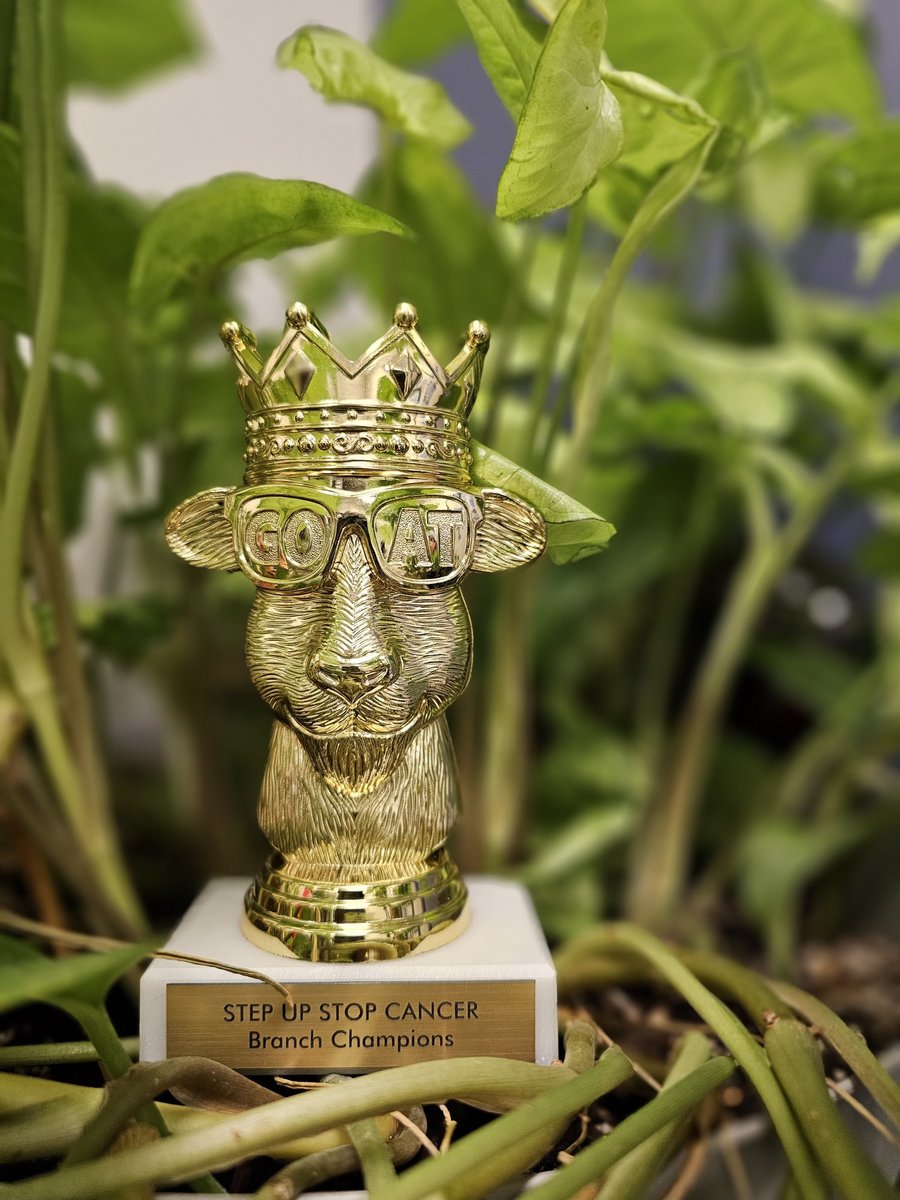 Our teams show up for their communities all year long - but the GOATS of 2025 CMN (<a href="/CMN_HQ/">Children's Miracle Network</a>) fundraising?   

That title goes to none other than our Show Low branch! 💪 

RT with a🐐to congratulate their success!