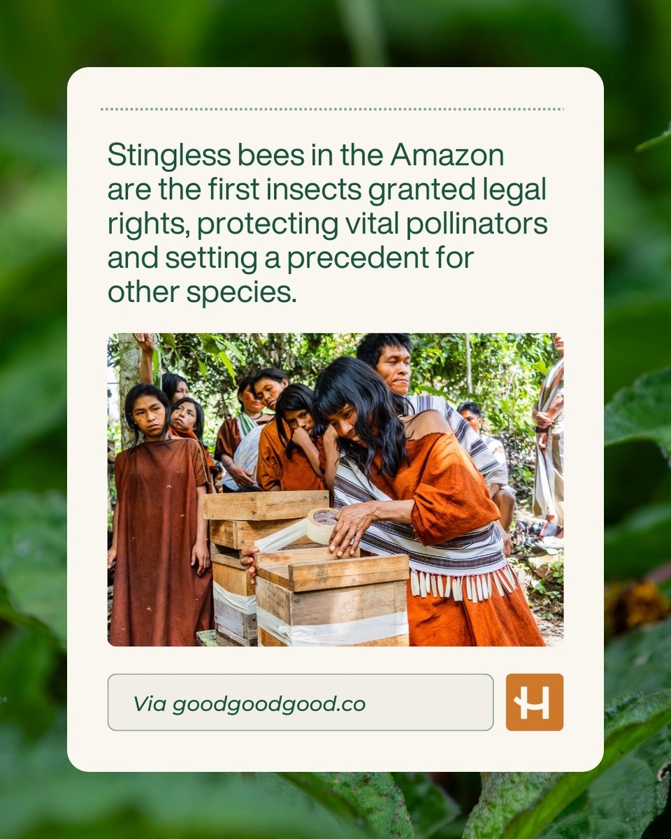 happsysleep tweet media