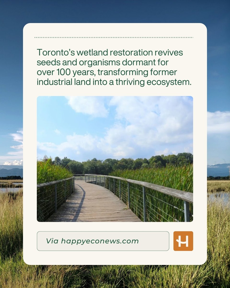 happsysleep tweet media