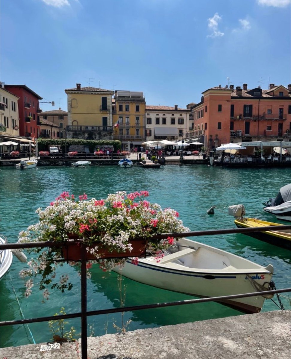 WORLD 2026 🌊 tweet media