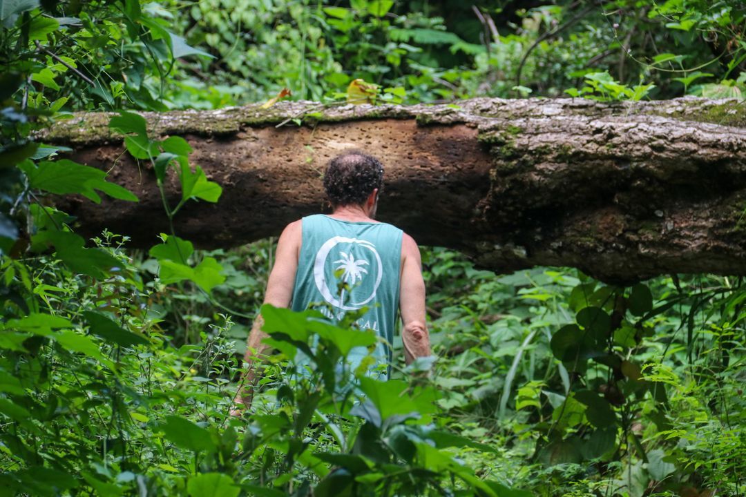 Club Cocal deep in the jungle! 

Interested in learning more about the real estate market here in El Salvador? DM us we'd love to chat!