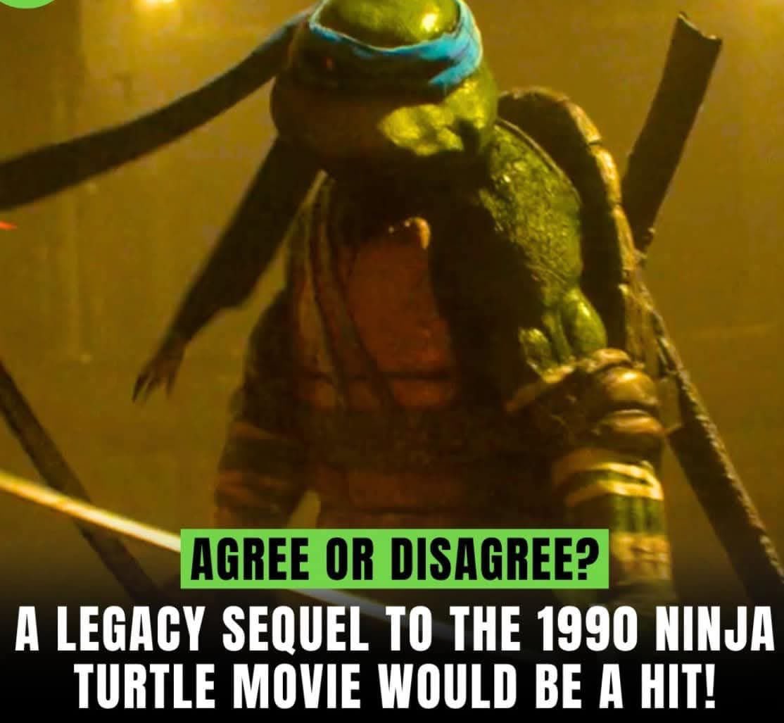 NinjaTurtleLair's tweet photo. https://t.co/4Vjq7g5vdy