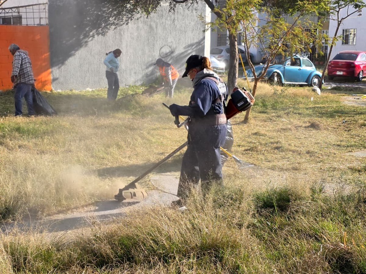 Gerardo Quirino tweet media