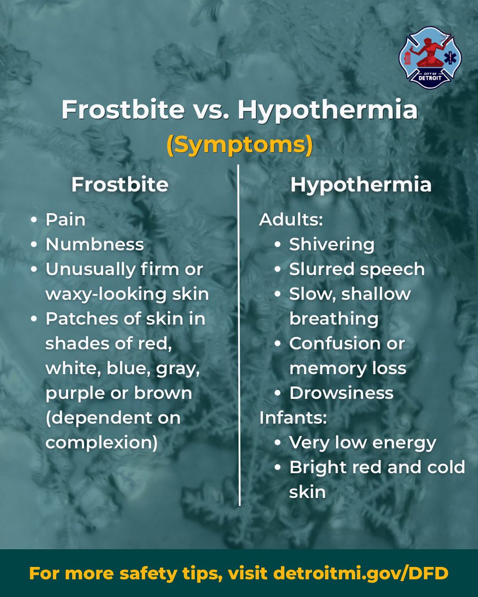 Detroit Fire Department tweet media