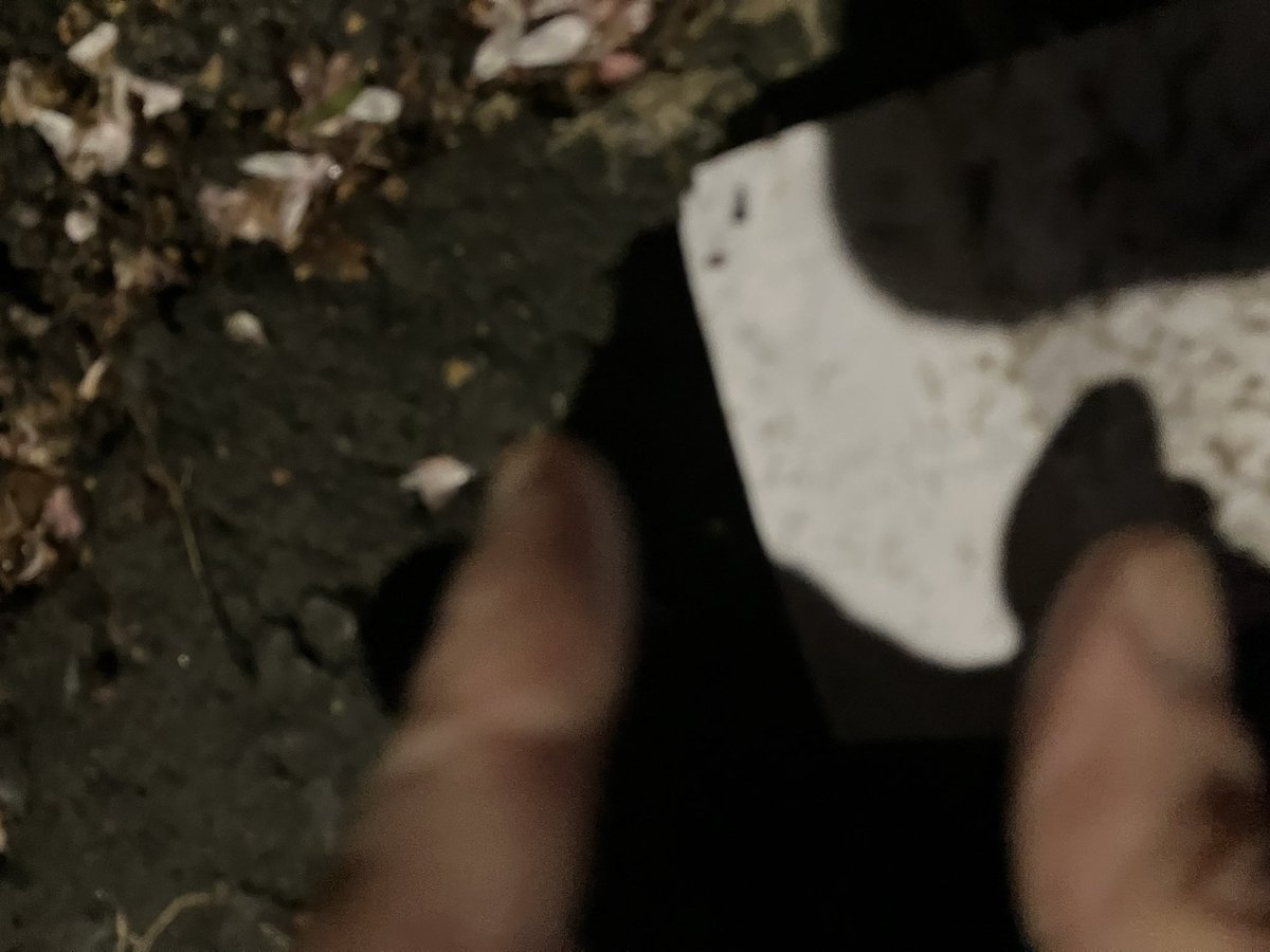 @_pickuplitter tweet media