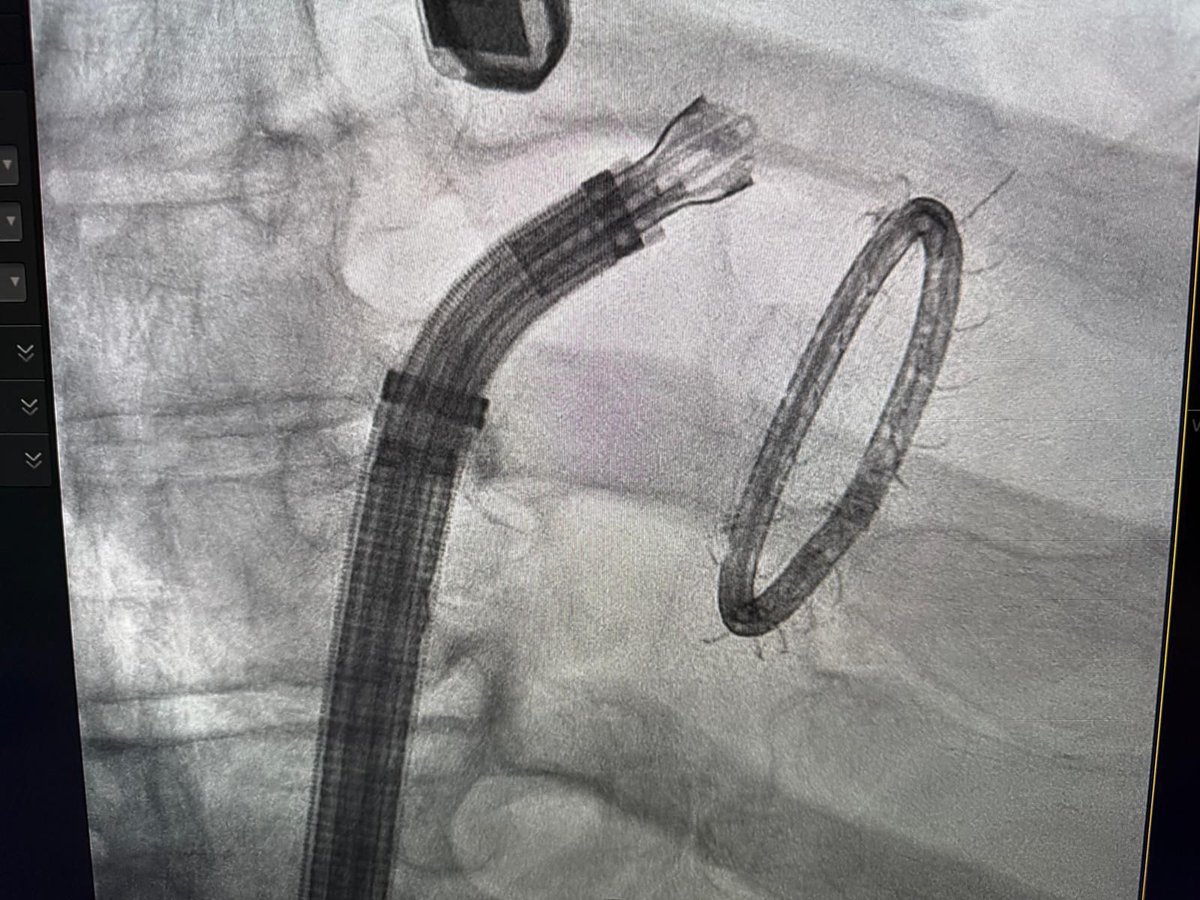 Paul Sorajja tweet media