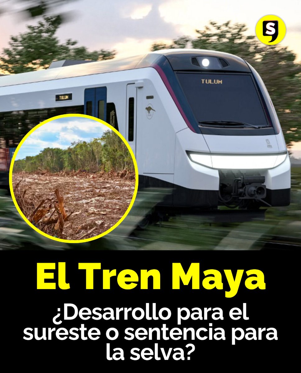SubrayadoM's tweet image. 🚆🌳Más de 1,500 kilómetros de rieles, miles de millones de pesos y una pregunta incómoda: ¿hasta dónde puede llegar el desarrollo sin romper la naturaleza que lo sostiene? 

¿Qué es lo bueno y lo malo del Tren Maya? 

#SubrayadoMx #SoloLoImportante