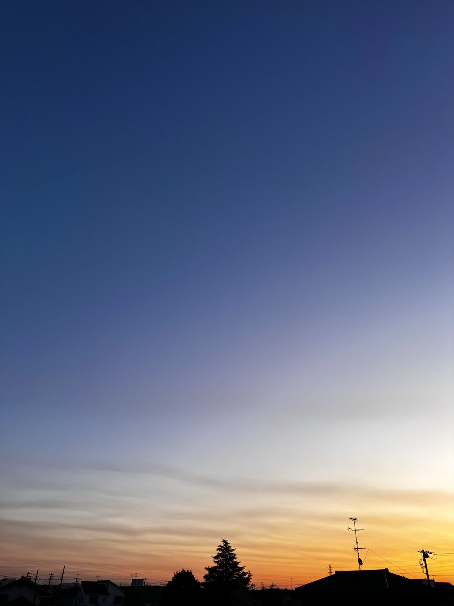 キャサリン (@Xi7ySXjpj2EYGAU) / Posts / X