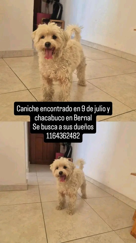 Jimena Torres ⭐️⭐️⭐️ tweet media