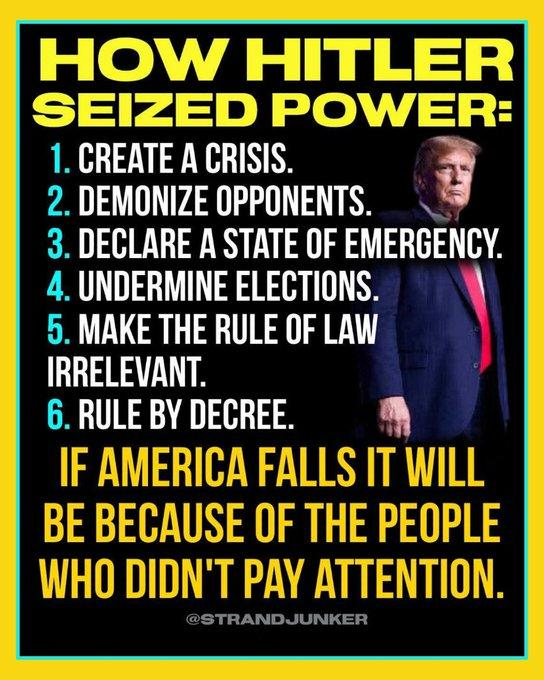 Damaan4u33's tweet image. Trump is proof that you don't have to have a high IQ to be a Hitler! 🤡