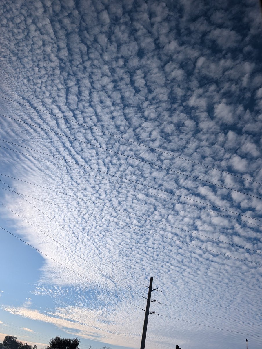 WarriorLeo's tweet photo. Altocumulus clouds in Ocala around 5pm @NbergWX
#fox35weather https://t.co/UfC1YKEiaL