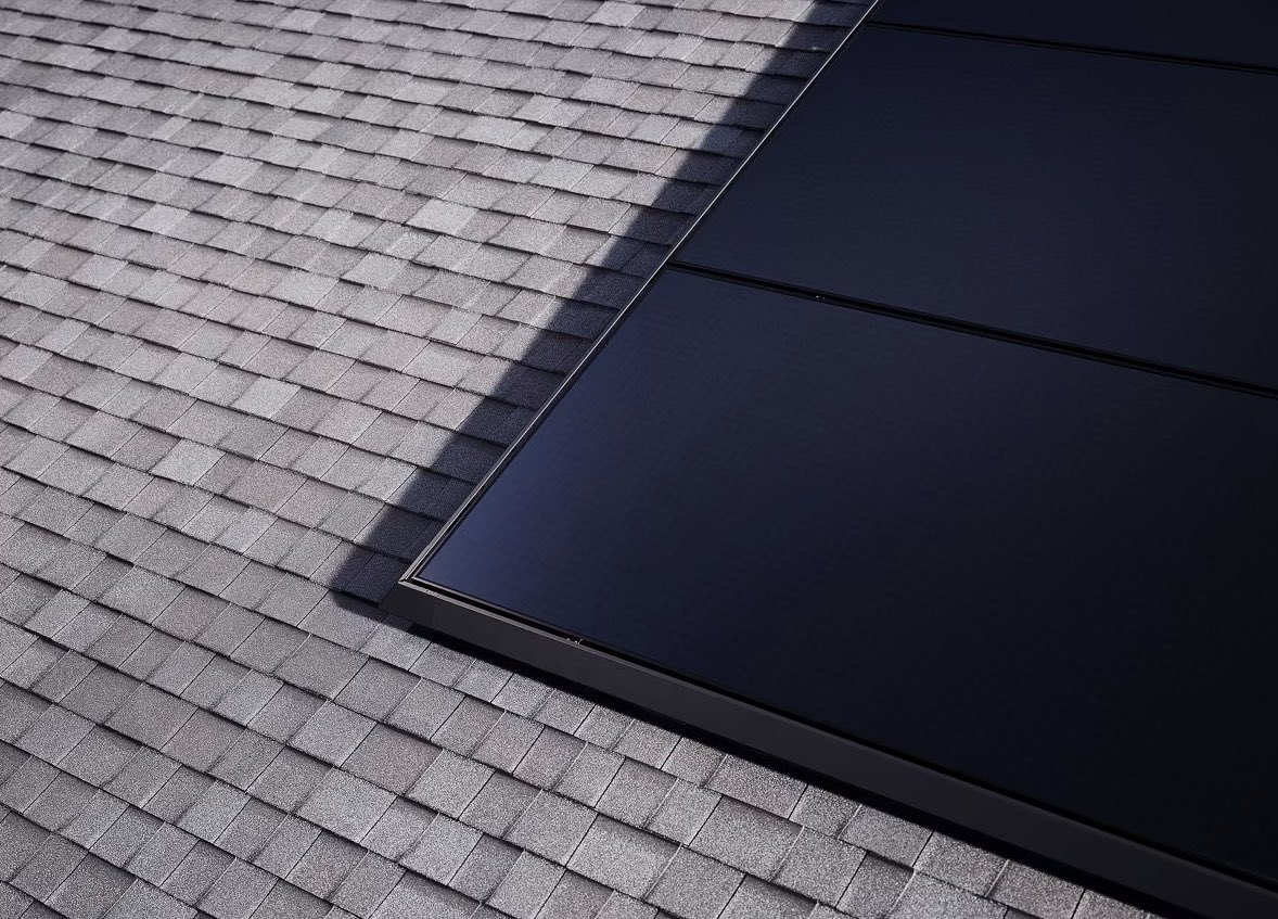 Nic Cruz Patane tweet media