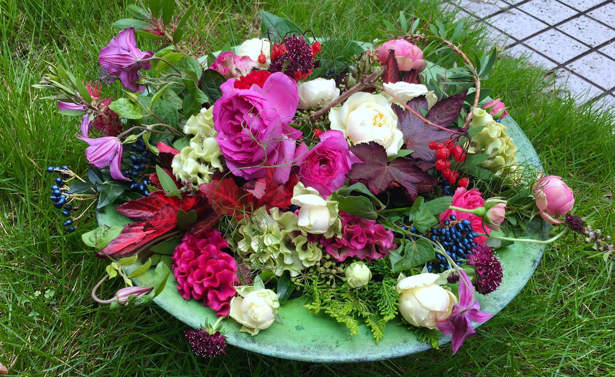 タカコ＠花/写真/XRP (@takakoshiki) / Posts / X