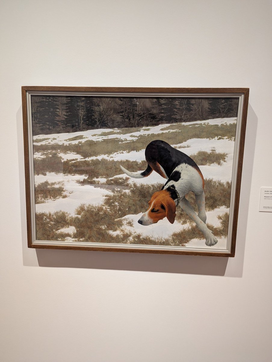 Hound in Field, Alex Colville. 1958.
