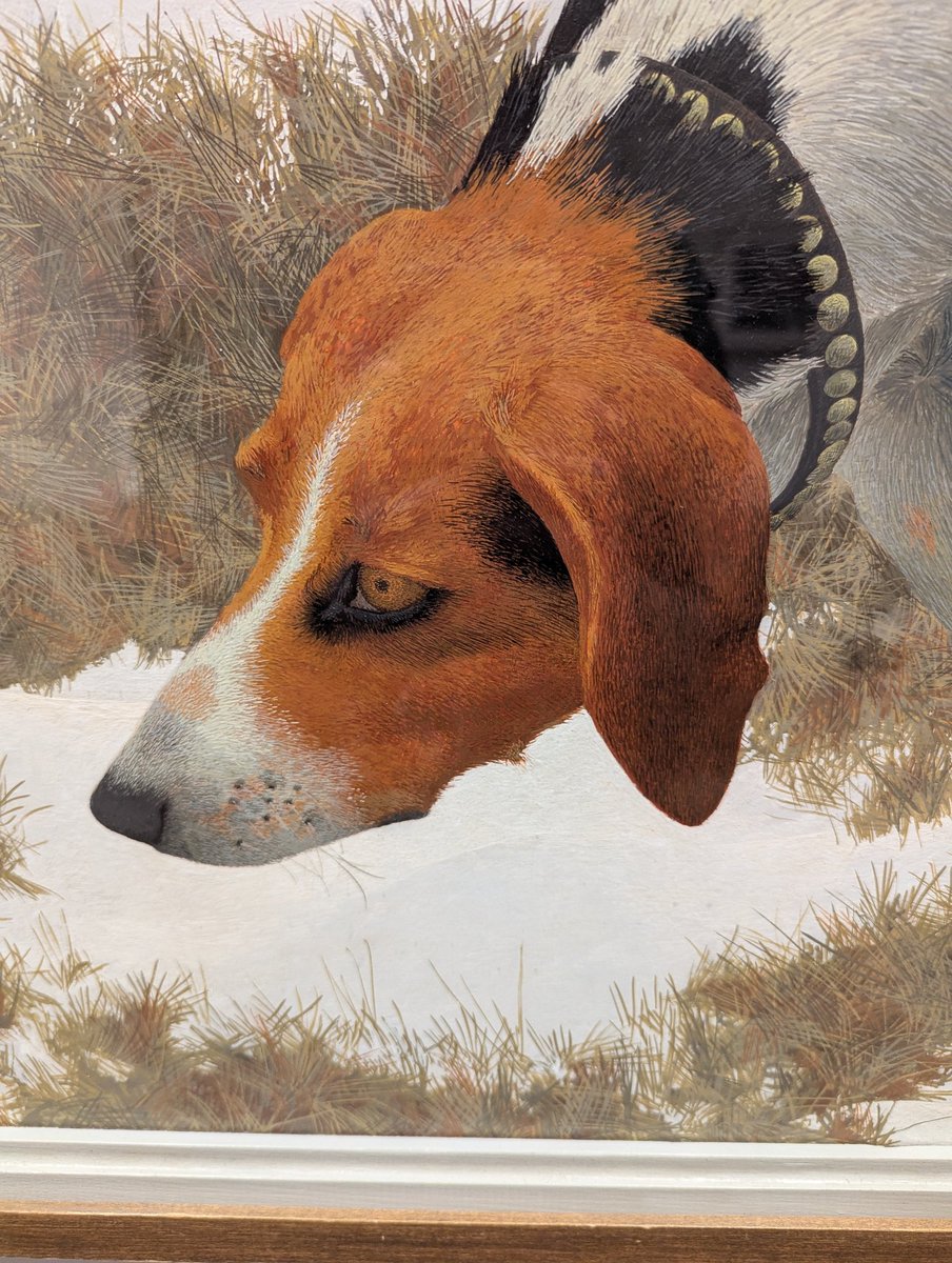 mike_boreas's tweet image. Hound in Field, Alex Colville. 1958.