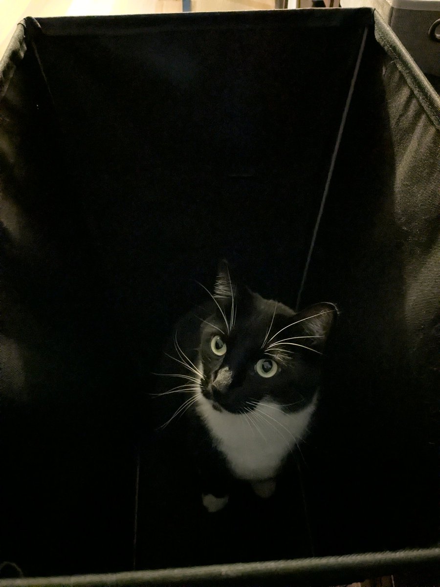 Jenna Maldonado tweet media