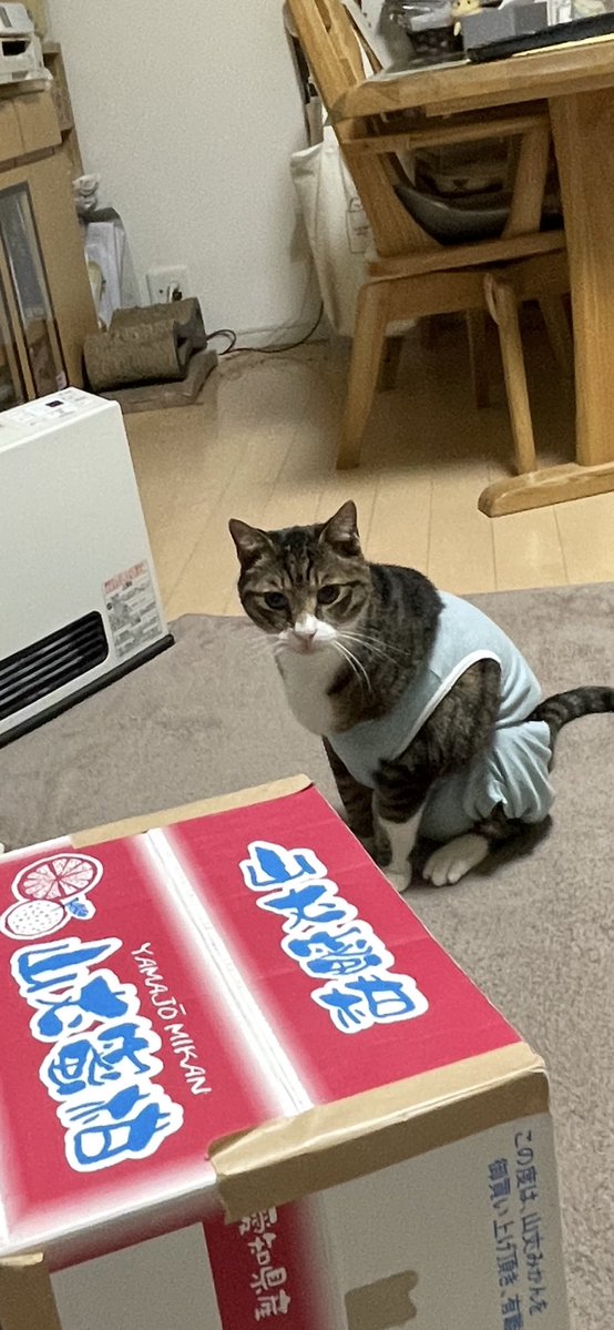 おはようございますラウドネスブラザーズ^_^