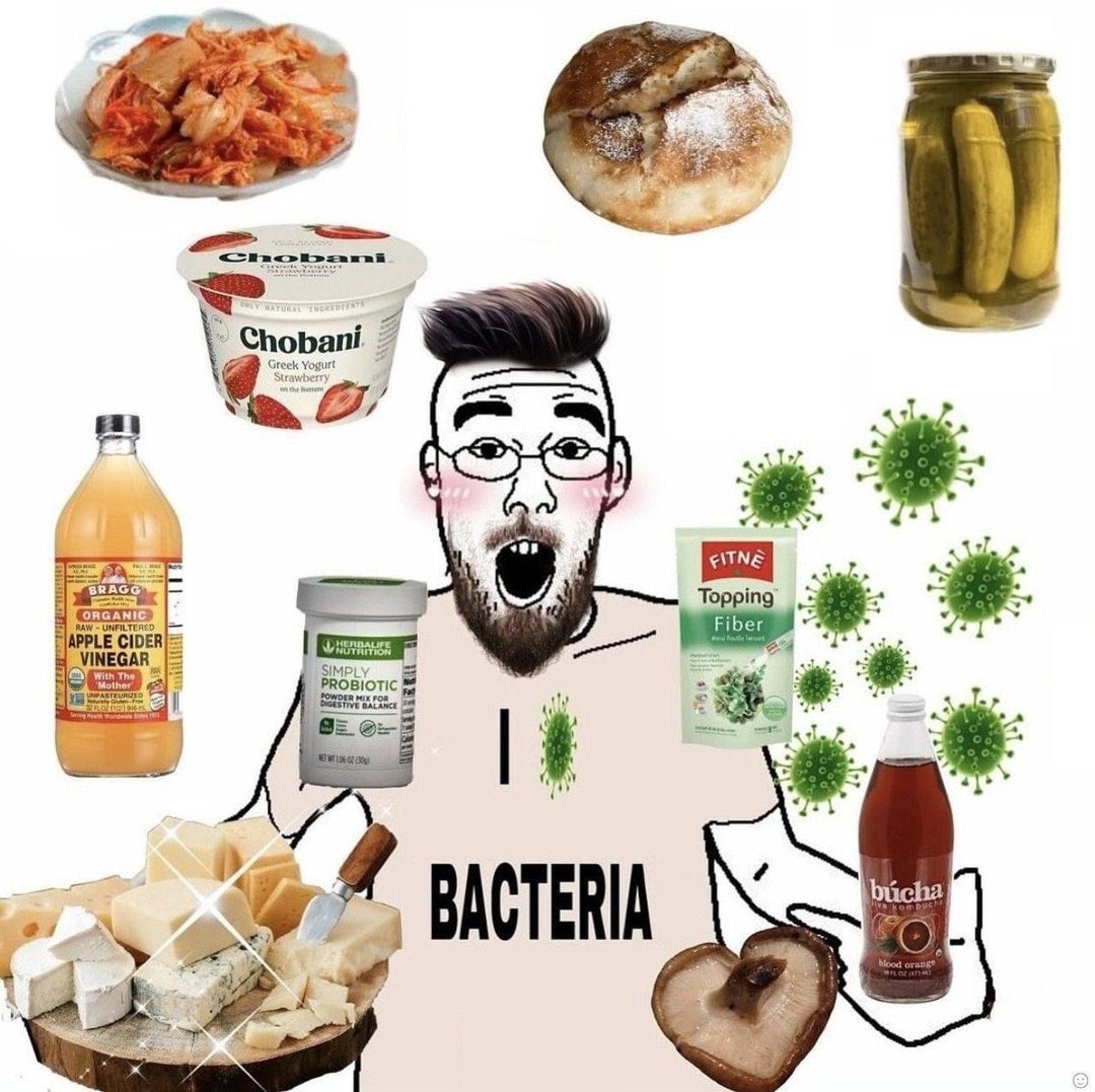 Random Soyjaks I Found on my Hard Drive (@soycobson) on Twitter photo 